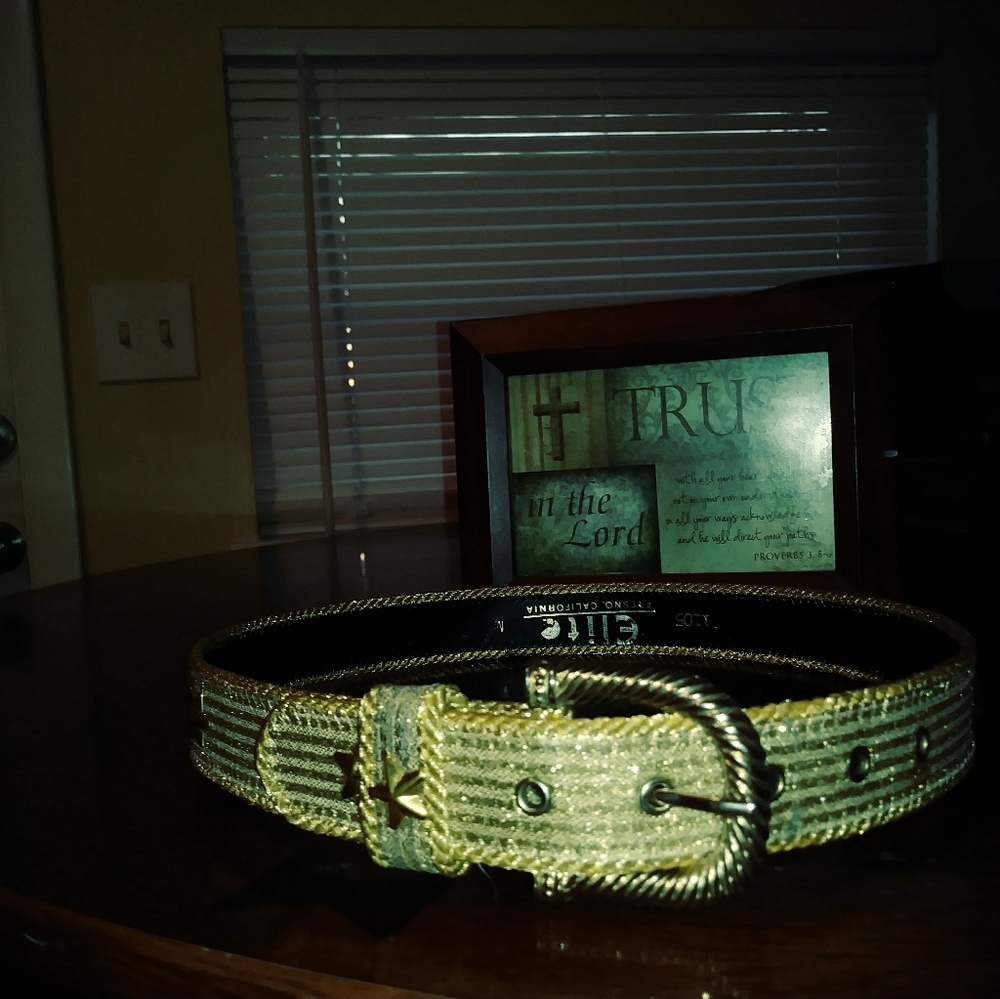 VINTAGE ELITE NEW RARE FIND BELT. With Red Roses 🌹 Bloomed Impressive.